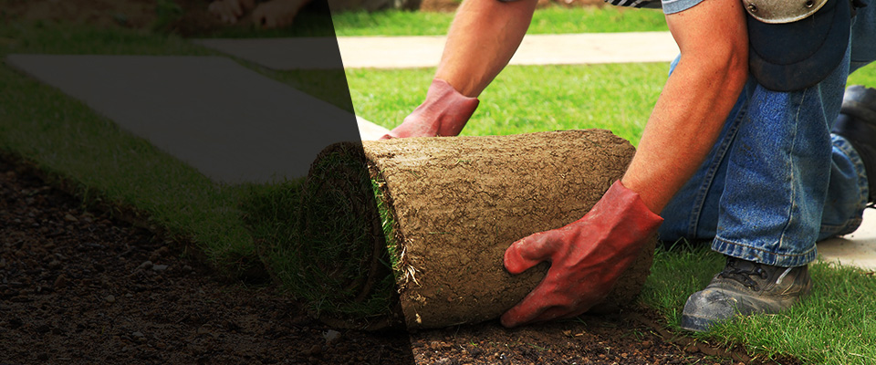 Ravensdale Landscapers